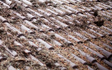 Cockfield roof cleaning companies